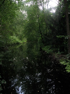 In Tiergarten