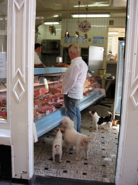 Classic shot: Dogs at the butcher